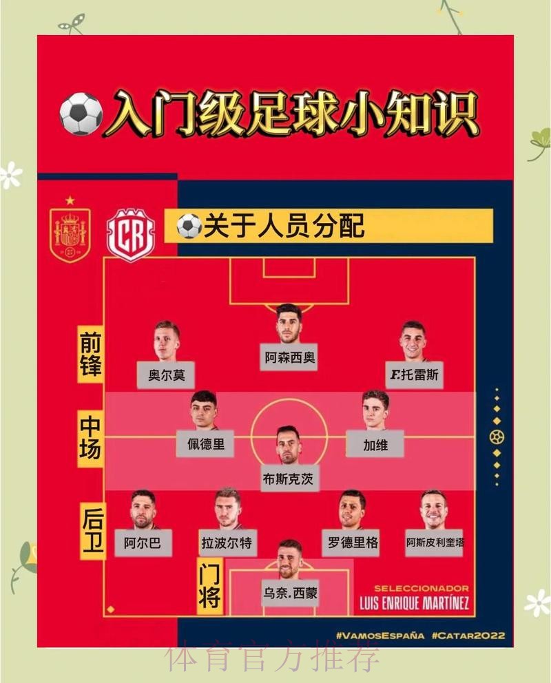 世界杯免费观看规则